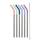Stainless/Silicone Reusable Straws - Set of 6