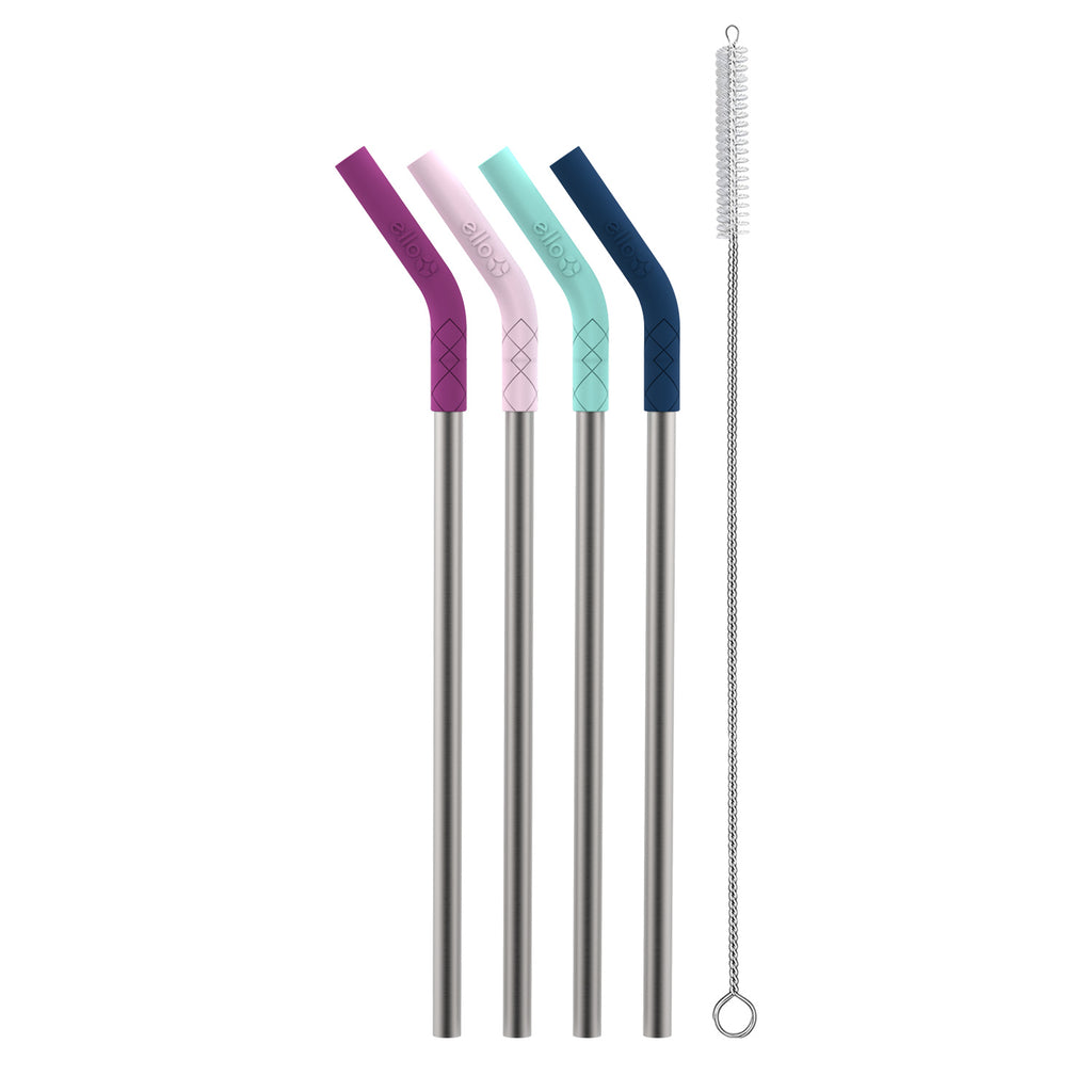 Stainless/Silicone Reusable Straws - Set of 4