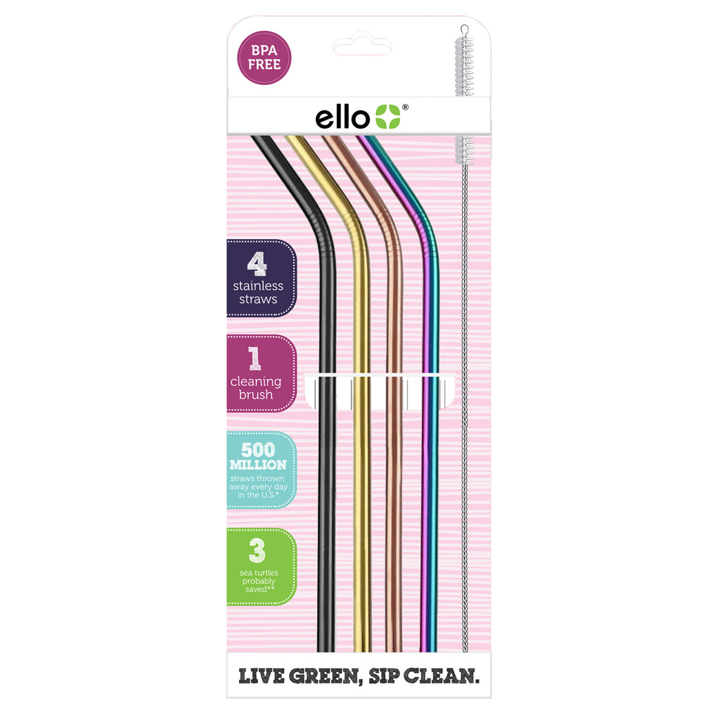 Stainless Reusable Straws - Set of 4